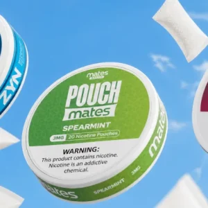Best Nicotine Pouches (2026 Guide)