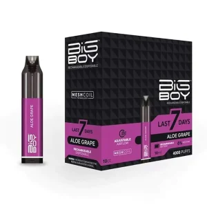 Big Boy Rechargeable 4K Disposable