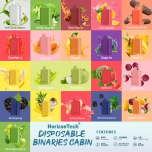 Binaries Cabin Rechargeable Disposable