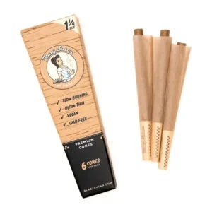 Blazy Susan Unbleached Cones | Pack of 1