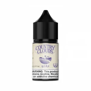 Blueberry CornBread Pudding SALT | Country Clouds