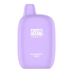 Blueberry Mint FLUM Pebble - America’s Trusted Online Vape Store