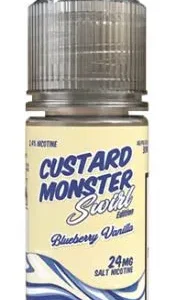 Blueberry Vanilla SALT | Custard Monster by Jam Monster