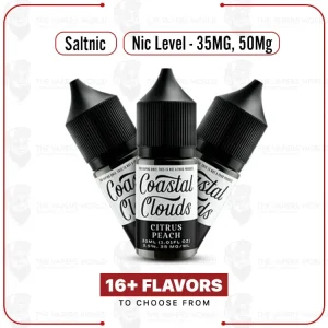 Coastal Clouds Salt 30mL E-Juice