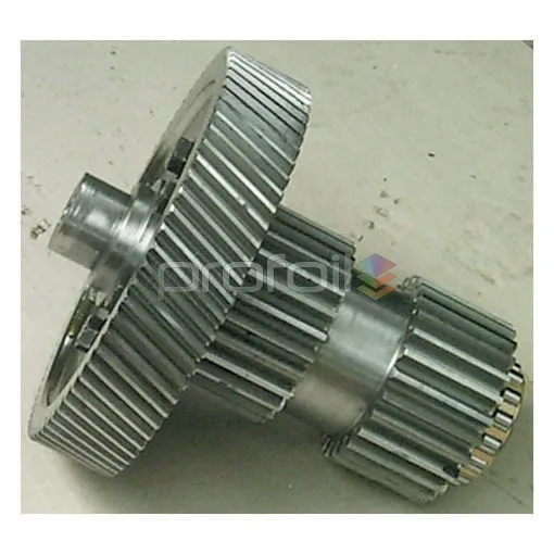 Double Pinion Gear Complete – S0417F