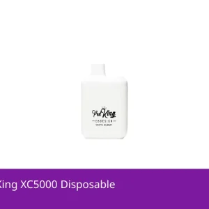 EBDESIGN Pod King XC5000 Disposable