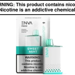 ENVA P8000 Disposable Vape 8000 Puffs