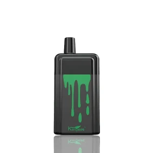 Kangvape Onee Stick 5200 Puffs Disposable 10