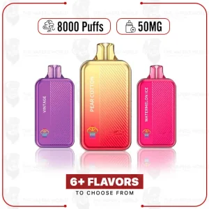 KangVape TC8000 5% Disposable