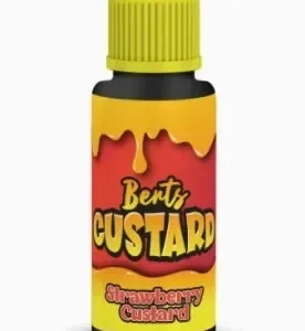 Kingston Berts Custard 100ML Shortfill