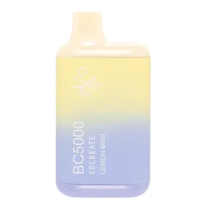 Lemon Mint BC5000 - Vapeoutletus Online Vape Store