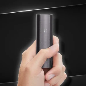 PAX 2