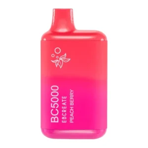 Peach Berry BC5000 - Vapeoutletus Online Vape Store