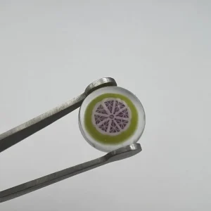 Lyons Glass Floating Grape Lime Valve