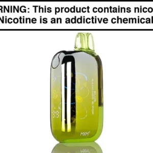INTO BIT DISPOSABLE VAPE