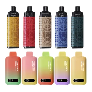 Mosmo VD9000 & Storm X 10000 Reusable Vape Best Gift