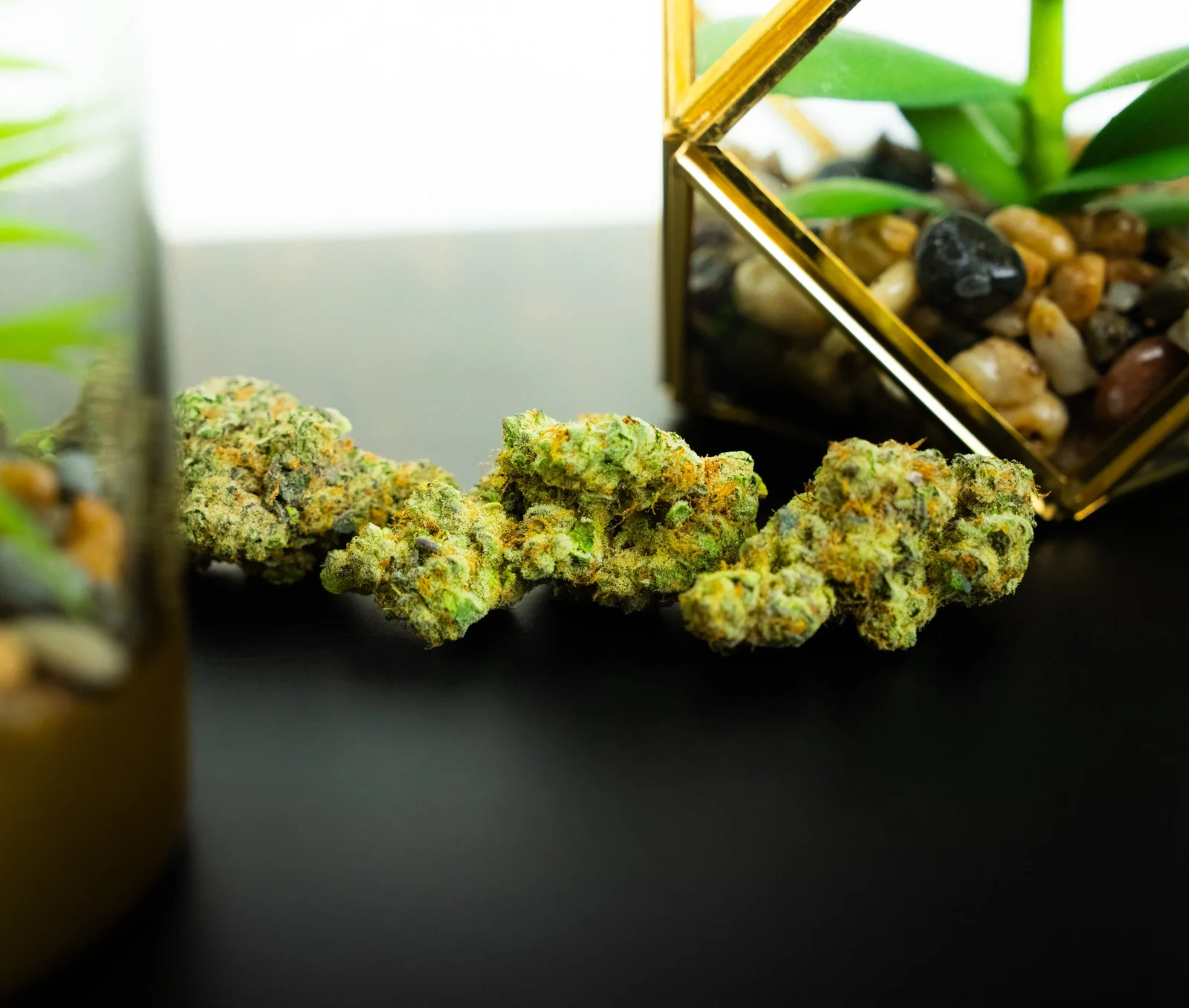 Tangie - Image 2
