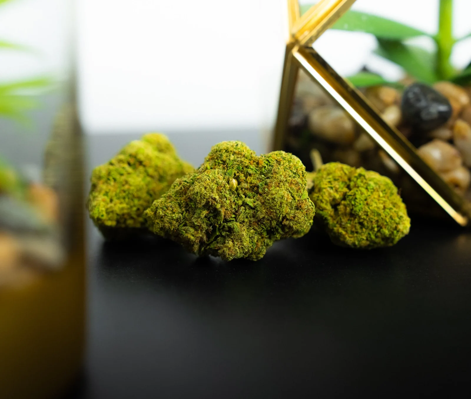 Blue Dream - Image 2