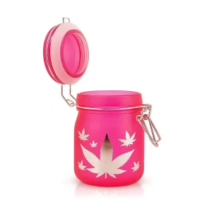 Airtight Glass Silver Leaves Stash Jar With Clamp Lid