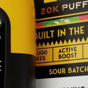 Best Disposable Vape Brands: Top Picks for 2026