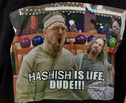 Gz1 HASH IS LIFE DUDE T-shirt - Image 2