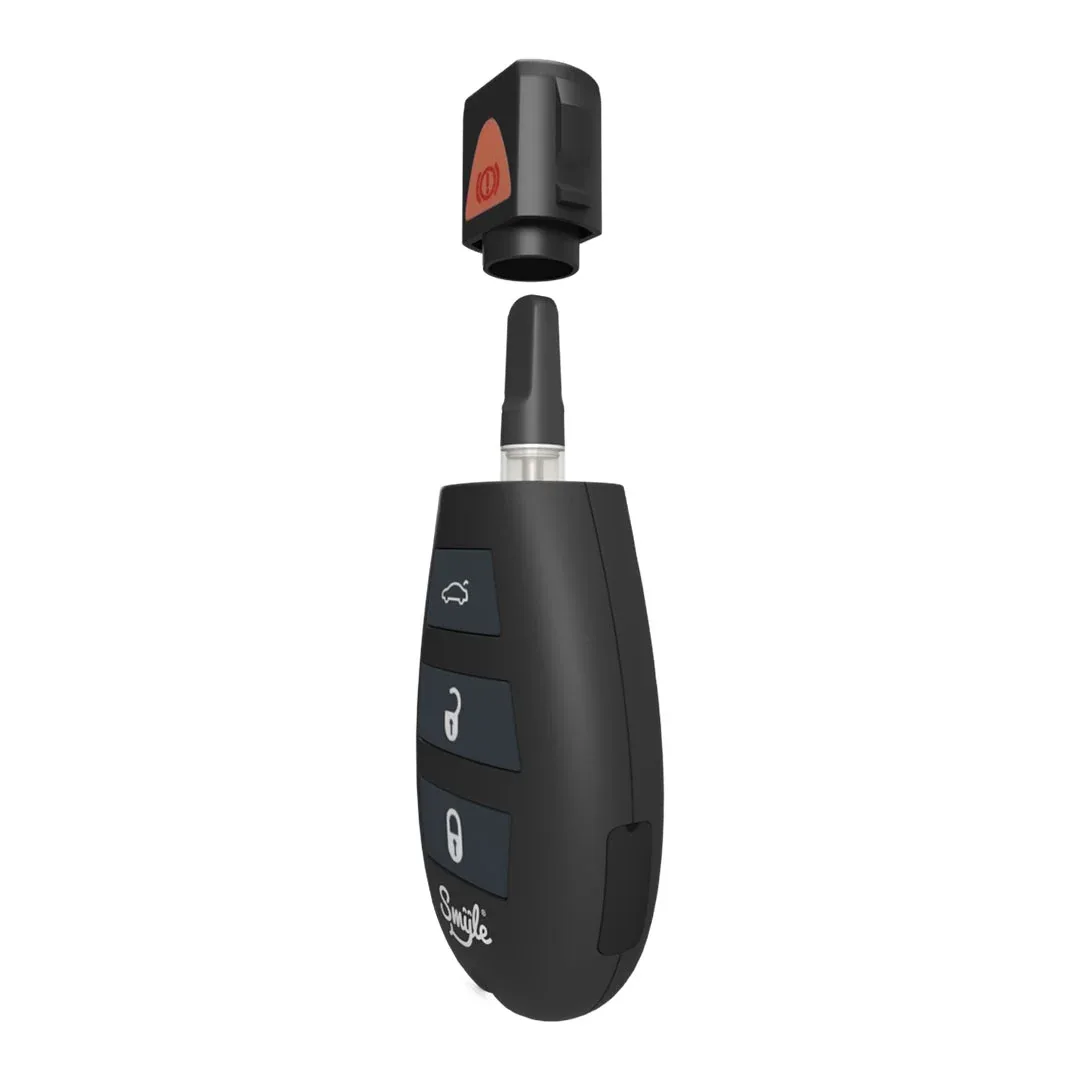 Penjamin Car Key Vaporizer - Image 2