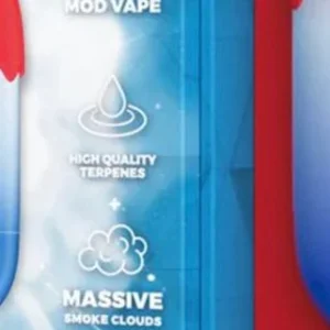 Packwoods Packspod Disposable Vape: Expert Review