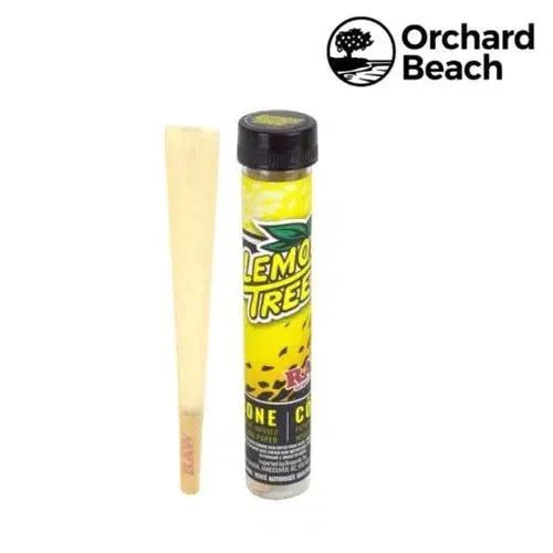 RAW x Orchard Beach | Lemon Tree Terpene Infused Pre-Rolled Cone | King Size 12pk - Image 2