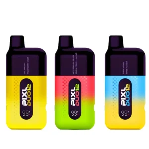 Pixl Duo 12 Reusable Vape 6000 Puffs Hot Sale