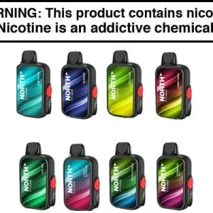 North FT12000 Disposable Vape 12,000 Puffs