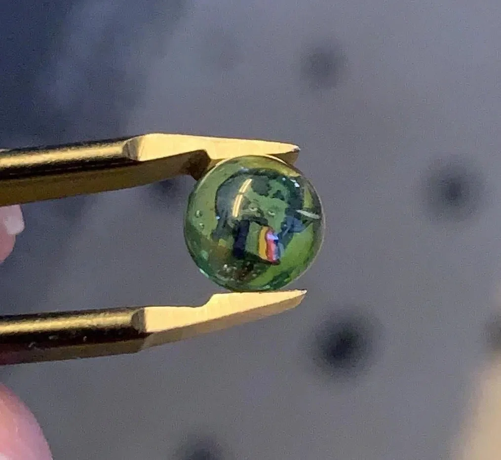 GZ1 Plant Phibion Puking Earth Terp Pearl