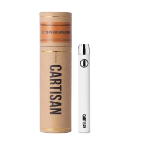 Cartisan Button VV 900 Dual Charge (MICRO-USB) 2G Variants