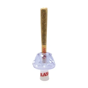 RAW Glass Cone Holders