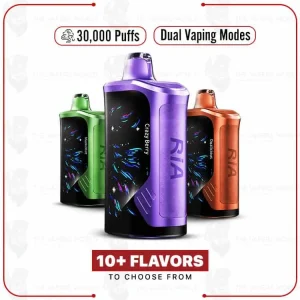 RIA NV30000 Puff Disposable Vape by Geek Bar