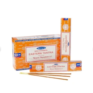 Satya Nag Champa Incense 16G X | Pack of 12