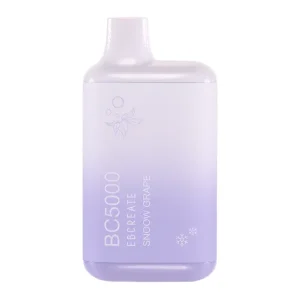 Snoow Grape BC5000 - Vapeoutletus Online Vape Store