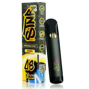 STNR Delta-8 Disposable - 1G