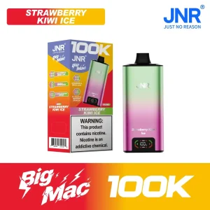 Strawberry Kiwi Ice - JNR Big Mac 100k Disposable Vape