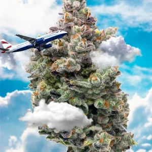 Surface_area999 “Mile High Club" 6.1" x 8.1" 85 Piece 1/4 Inch thick Maple Wood Jigsaw Puzzle