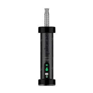 Two Apples - Ploox Molasses 75k Disposable E-Hookah