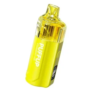 Vapgo PUFFUP vilso NIX 25K Disposable Vape (5%, 25000 Puffs)