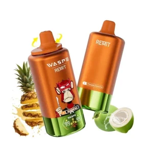 WASPE & Remit 4-in-1 100K 100000 Puffs Disposable Vape 5%