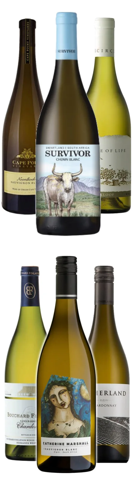 White Wine Favourits