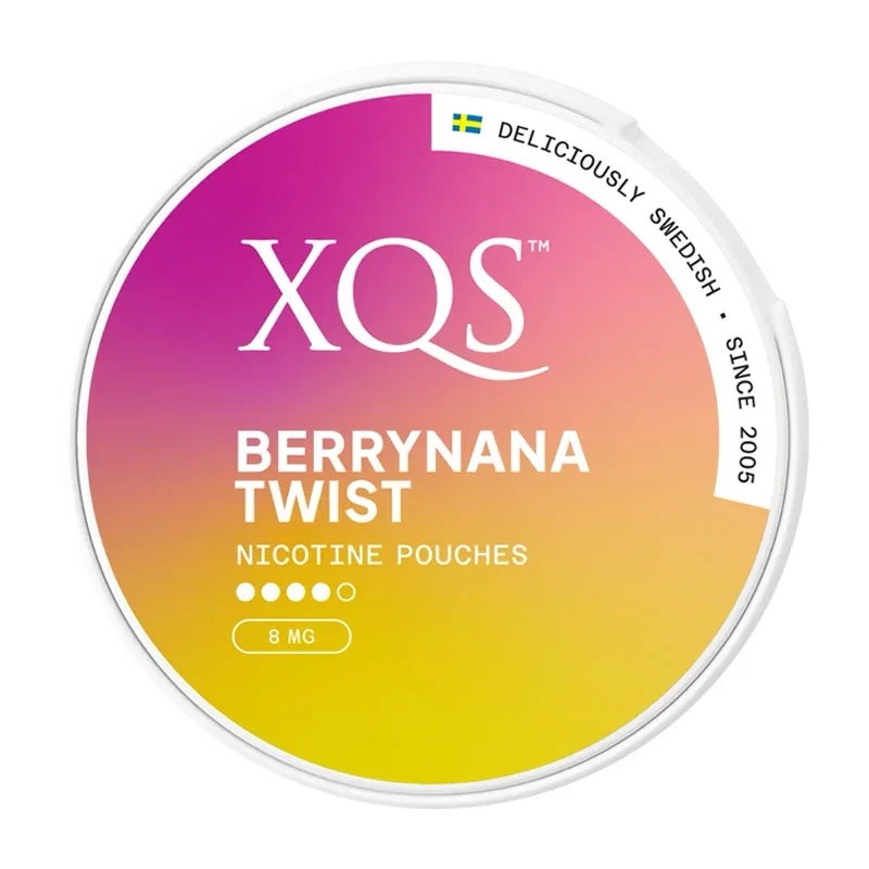 XQS Snus 8mg Nicotine Pouches - Image 2