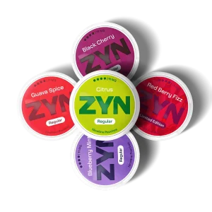 ZYN Regular 11mg Nicotine Pouch Bundle (5 Pack)